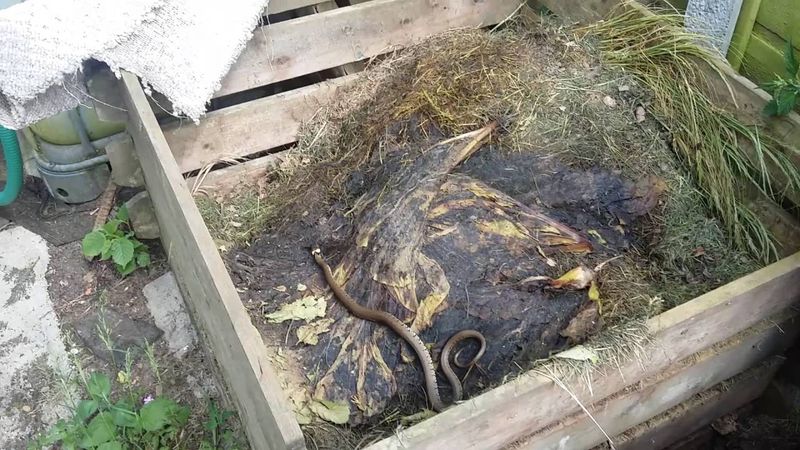 Compost Bins