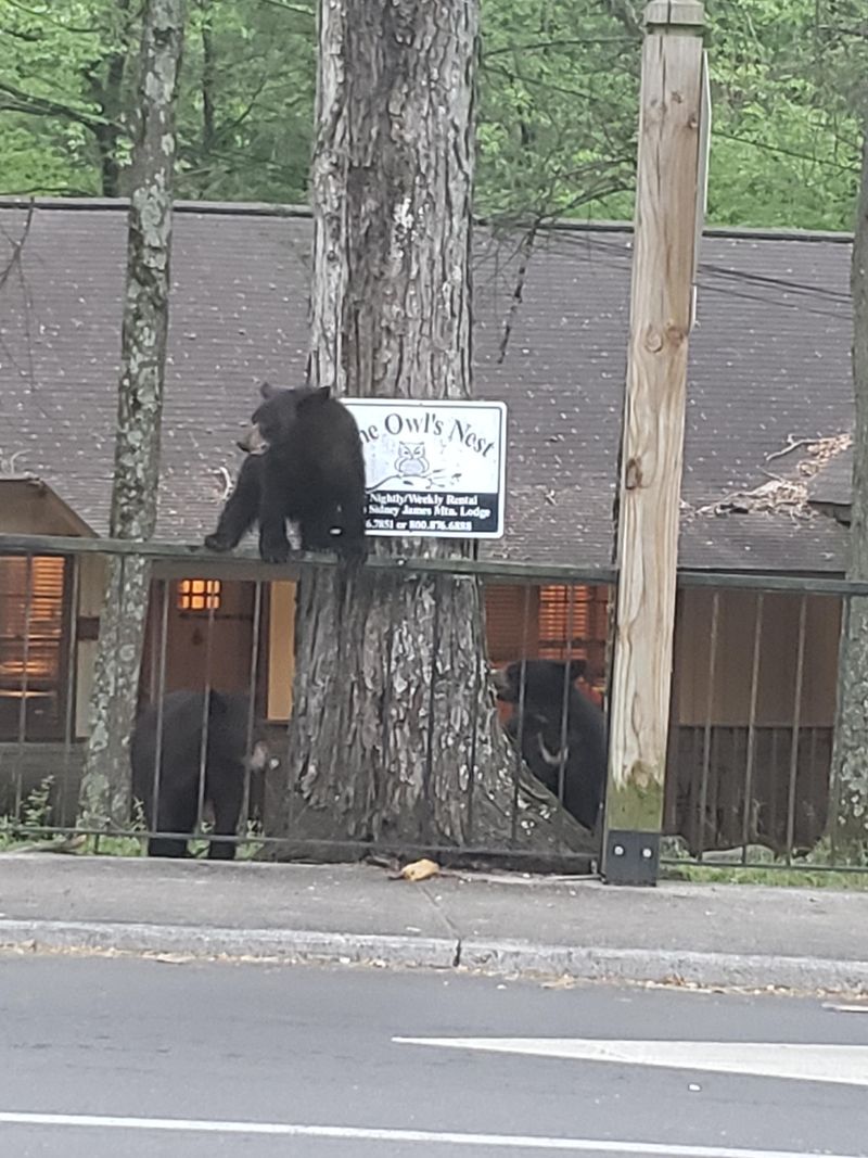 Gatlinburg, Tennessee