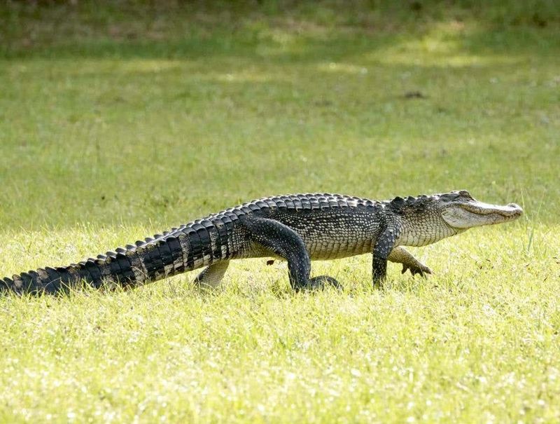 South Carolina