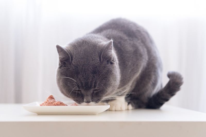 Healthy Appetite