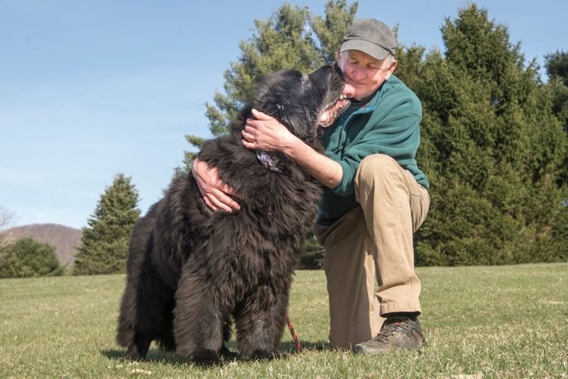 Newfoundland