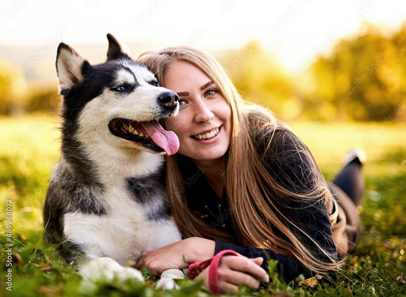Siberian Husky