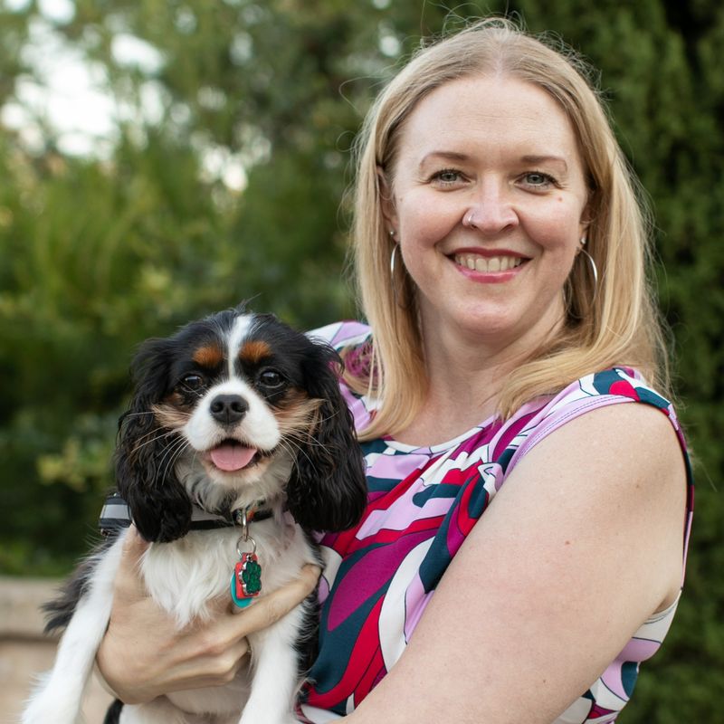Cavalier King Charles Spaniel