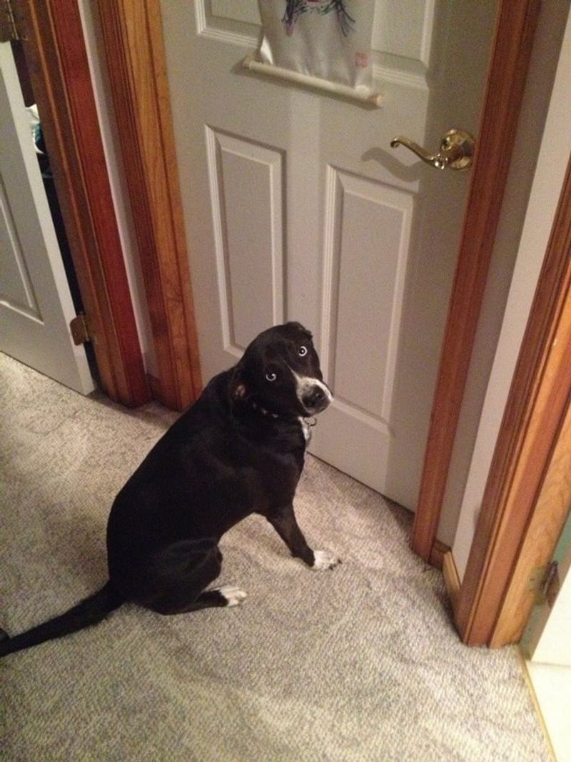 Outside – The Doorway Cue