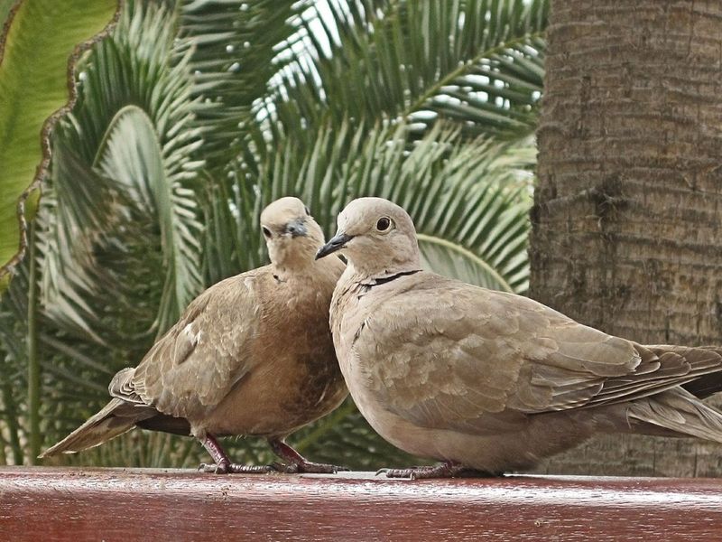 Unexpected Social Behavior