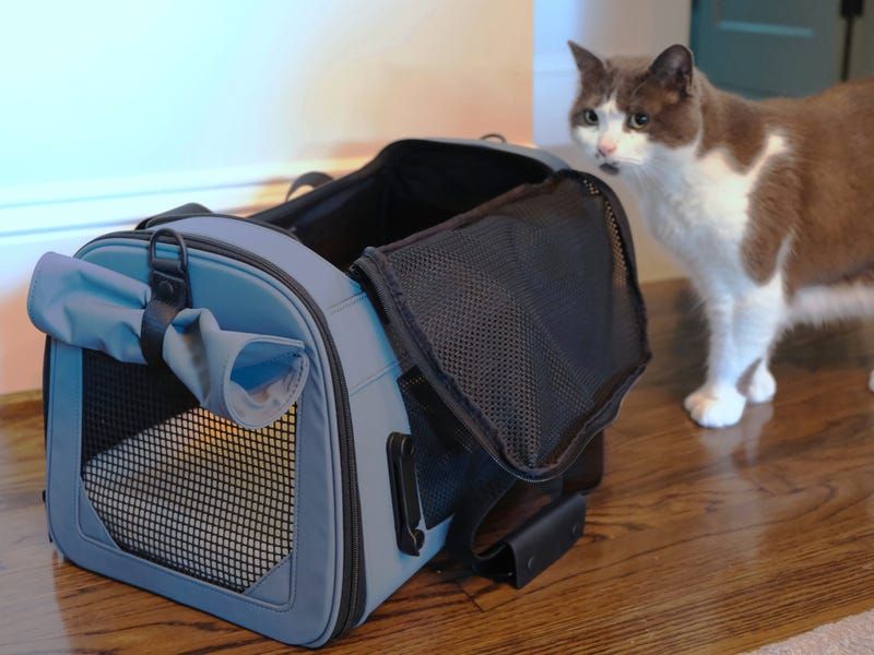 Introduce Travel Carrier Early