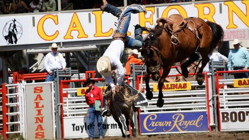Salinas Rodeo