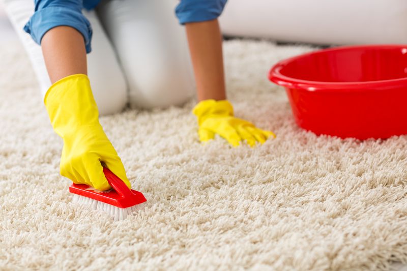 Vinegar and Baking Soda Carpet Clean