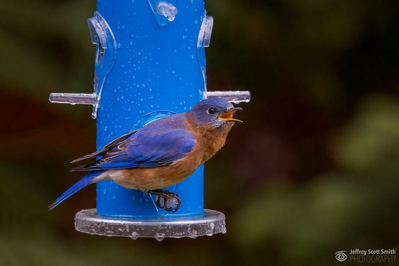 Offer Fresh Water