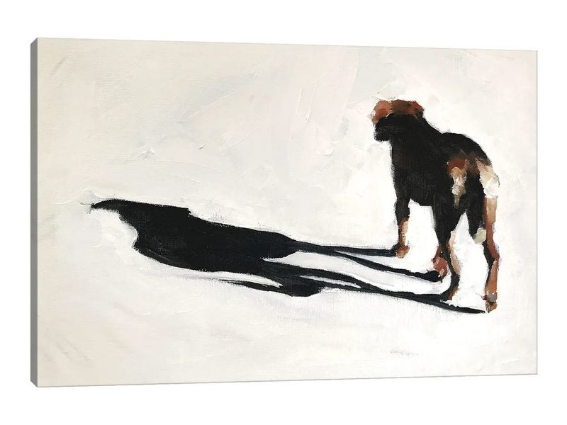 Playful Shadows