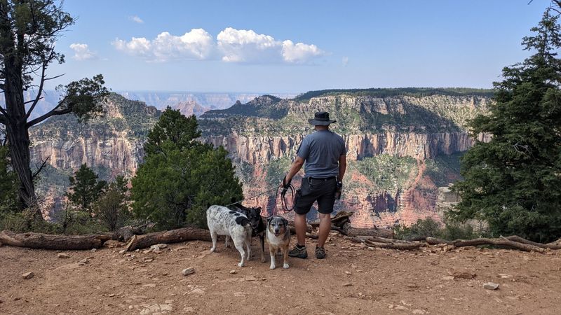 Bright Angel Trail, Grand Canyon