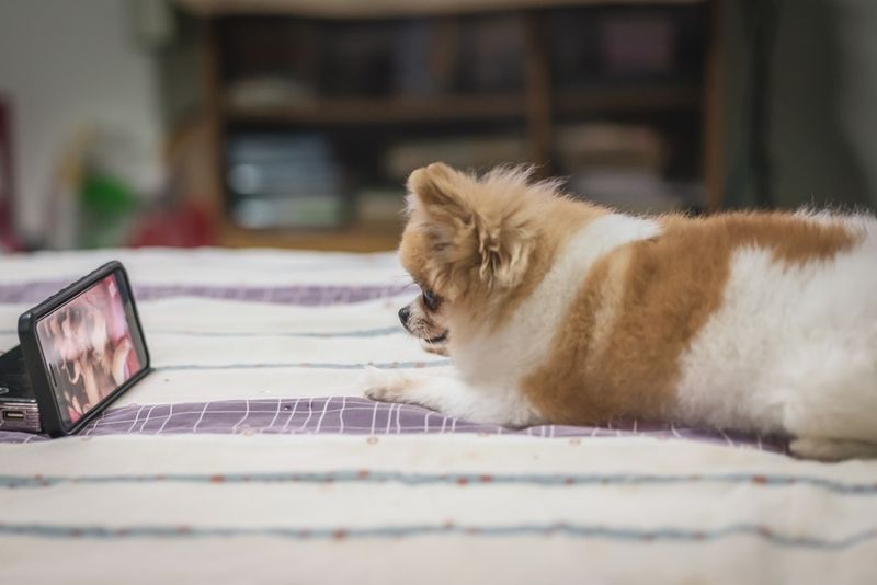 Comfortable Alone Time