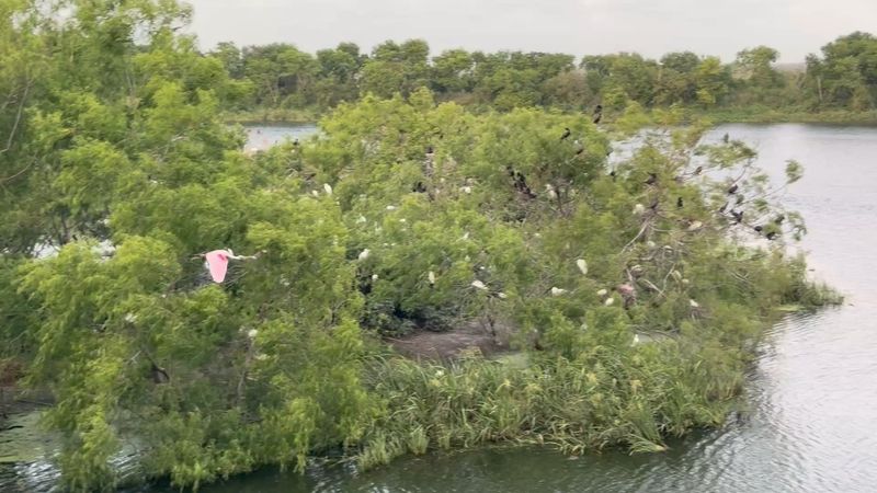 High Island, Texas