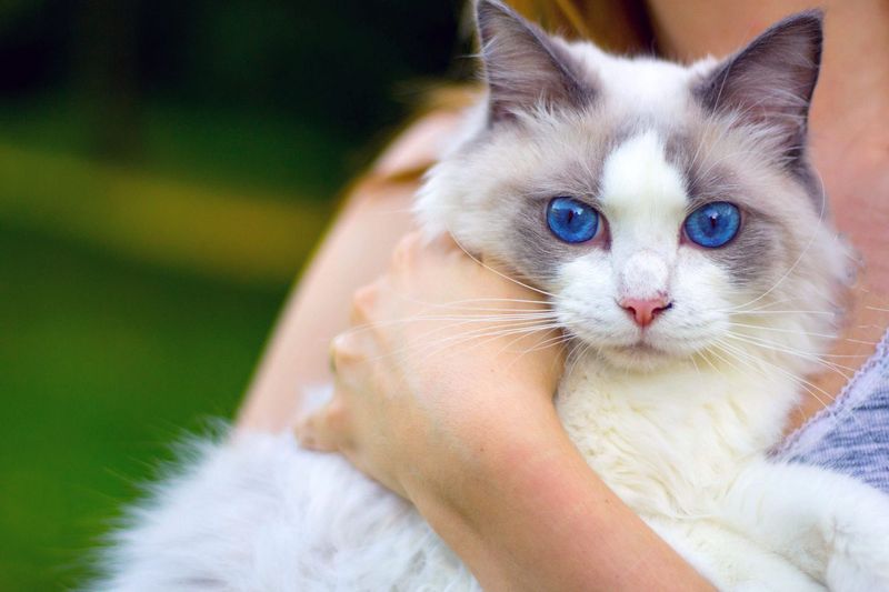 Bright Eyes