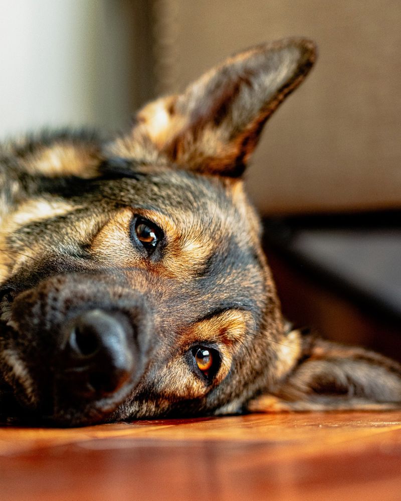 Random Acts of Comfort