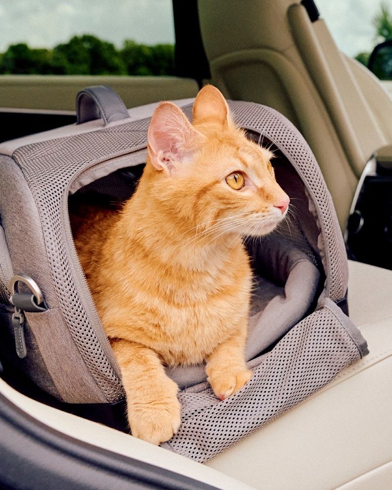 Pet Carrier
