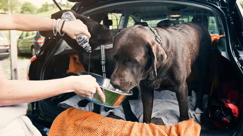 Dehydration Dangers