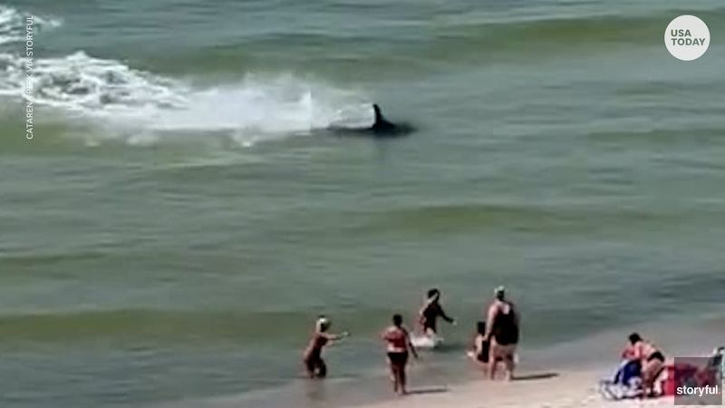 Myrtle Beach, SC