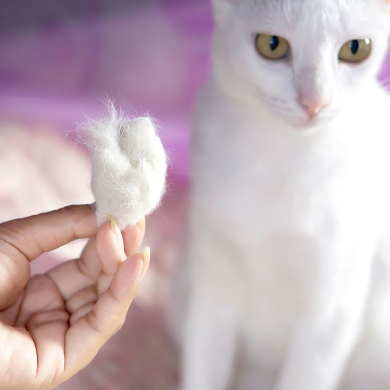 Skin Shedding