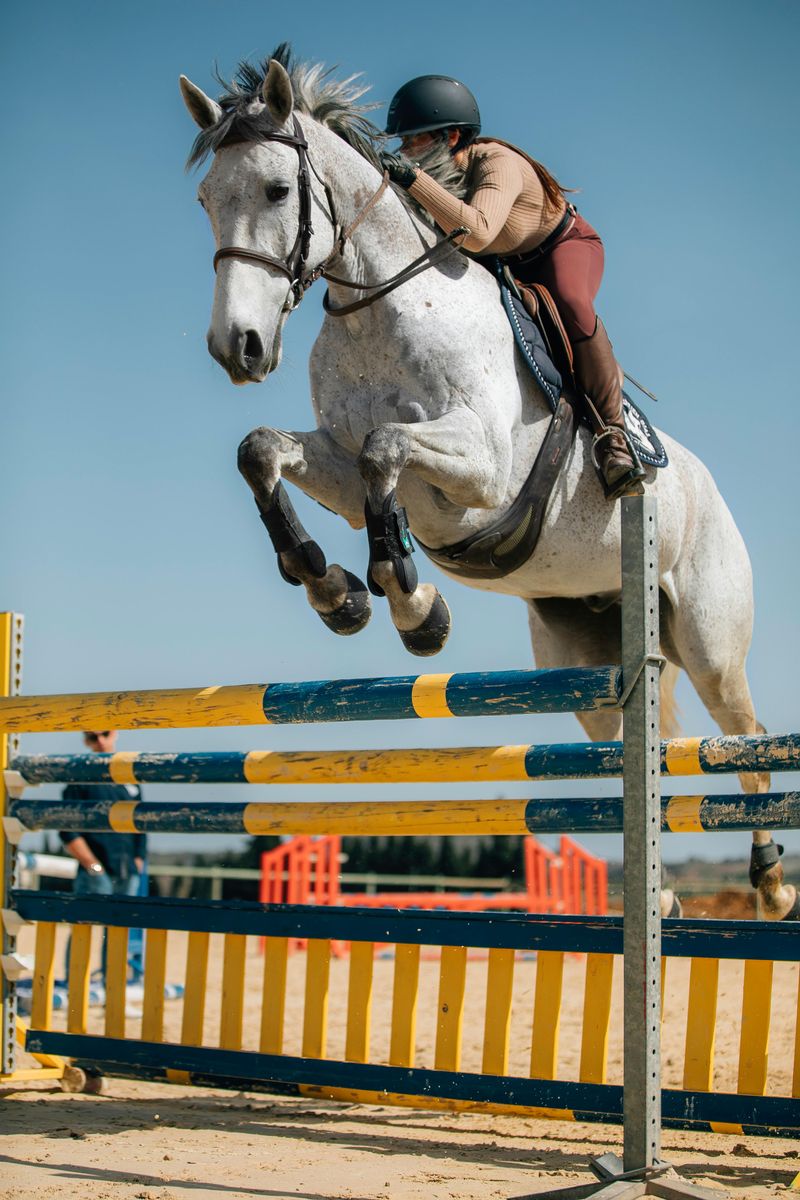 Riding Competitions