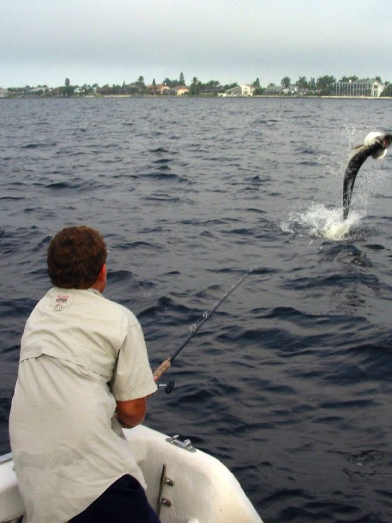 Sanibel / Pine Island Sound