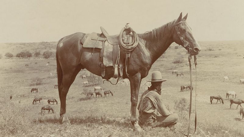 The Wild West: Cowboys and Their Steeds