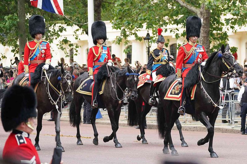 Royal Equine Companions: A Noble Tradition
