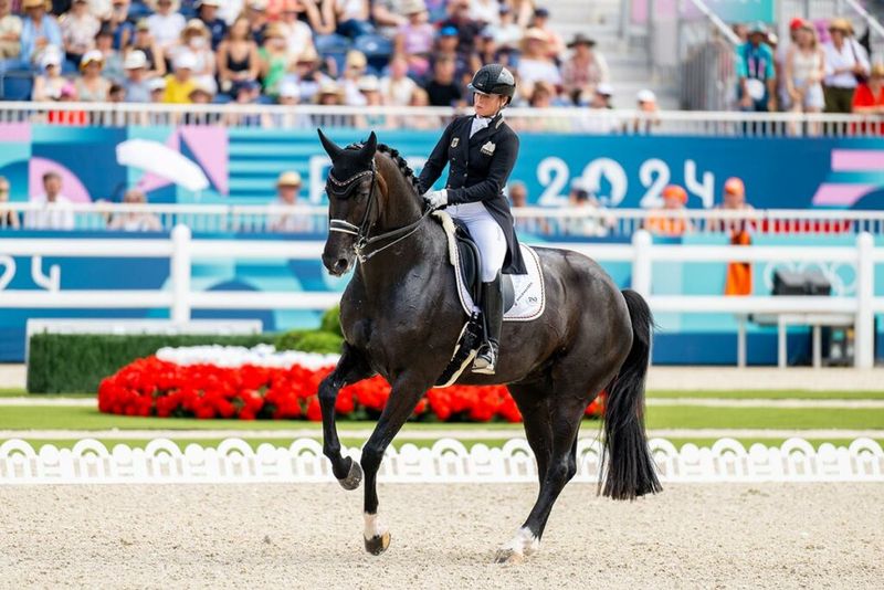 Equestrian Sports: A Tradition of Excellence