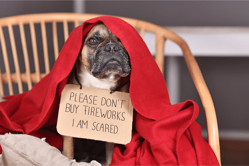 Fireworks Fear