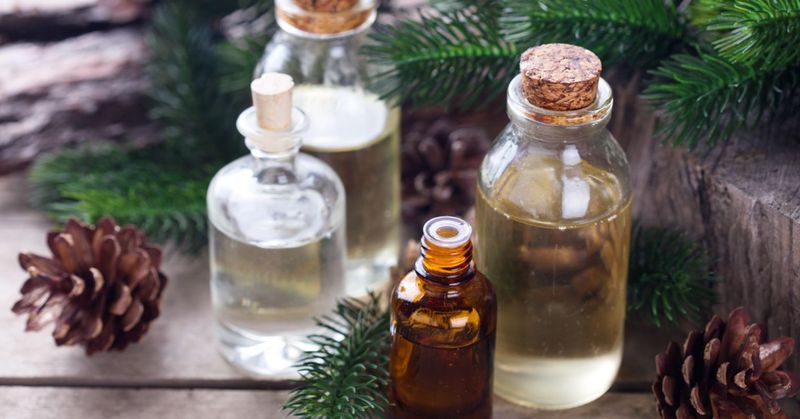 Eucalyptus Oil