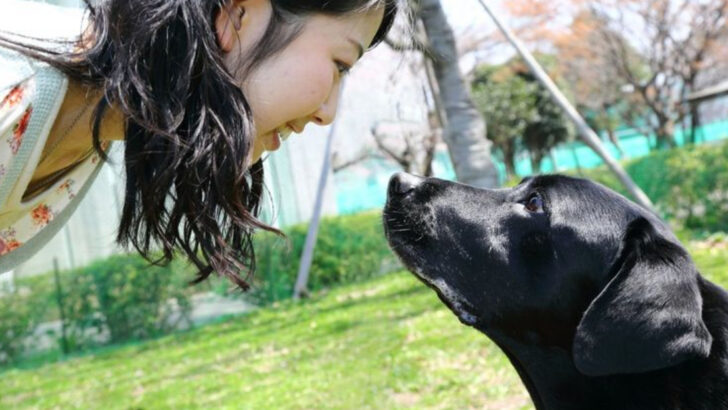 How Dogs Really Read Your Mind: 15 Surprising Ways Your Pup Understands You