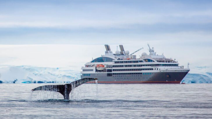 How Massive Cruise Ships and Overtourism Are Devastating Marine Life