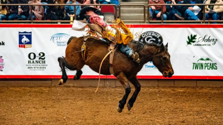 How Rodeo Rules Are Actually Keeping Animals Safer