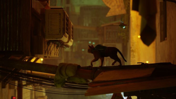 How Stray Cats Outsmart Nature—17 Wild Survival Tricks You Won’t Believe