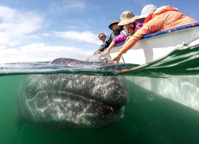 Baja California, Mexico