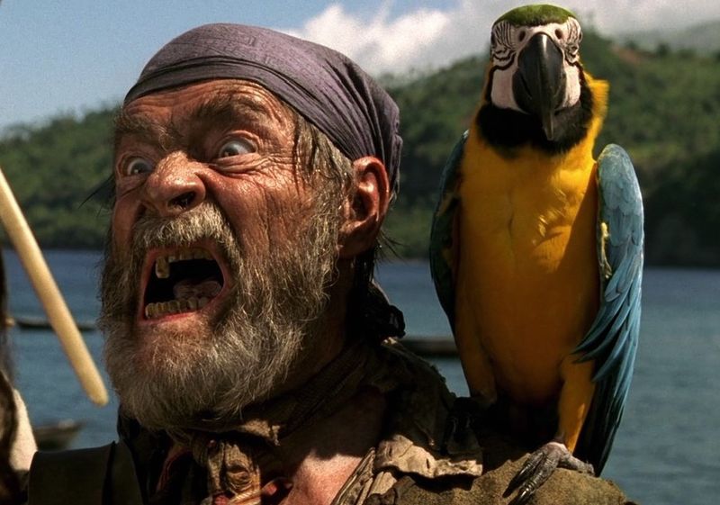 Pirates' Parrots Only Mimic