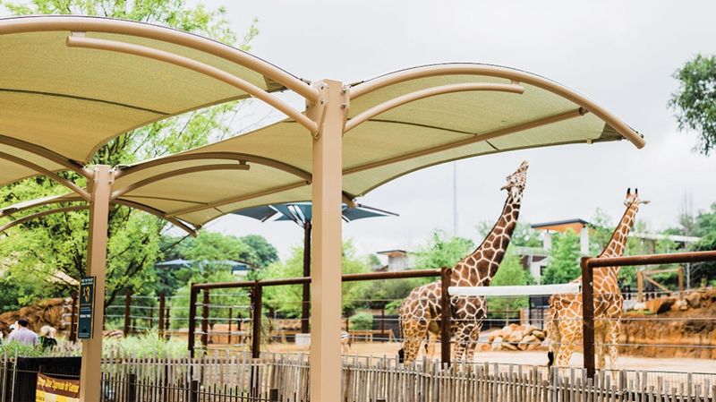 Shade Structures