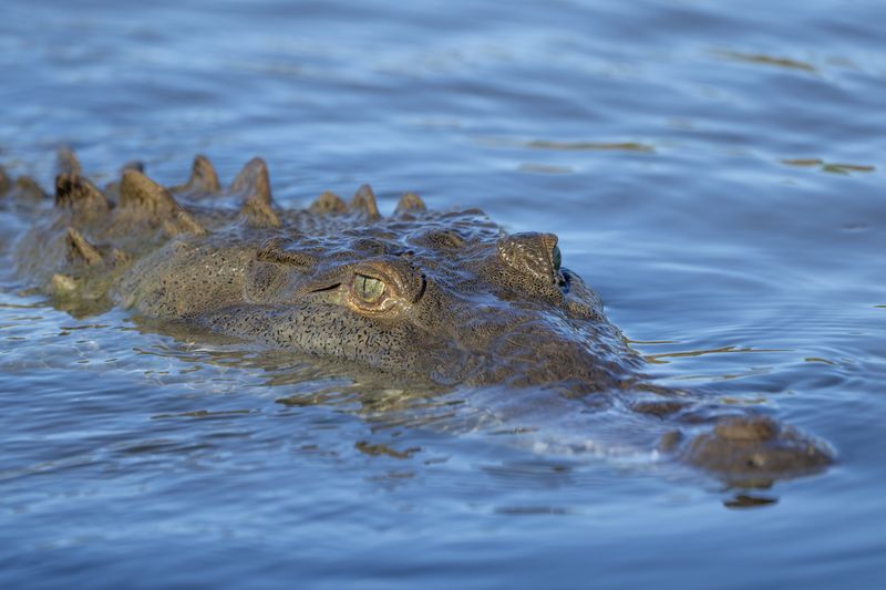 Florida