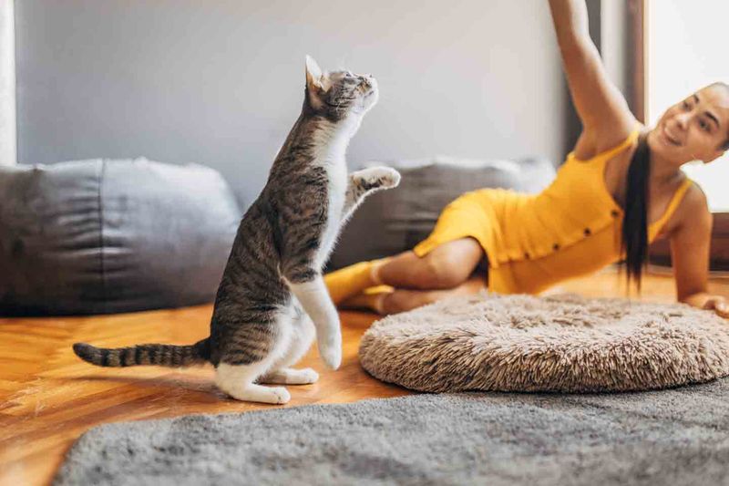 Neglecting Exercise and Enrichment
