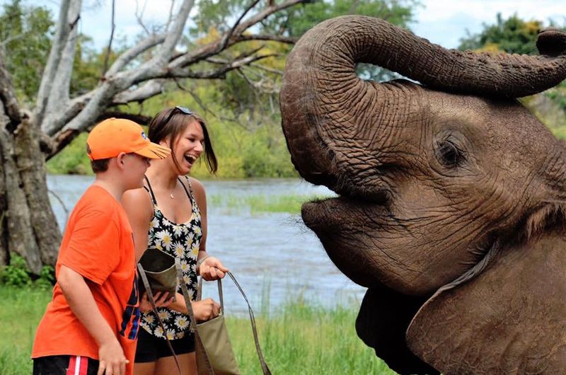 Feeding Wild Animals