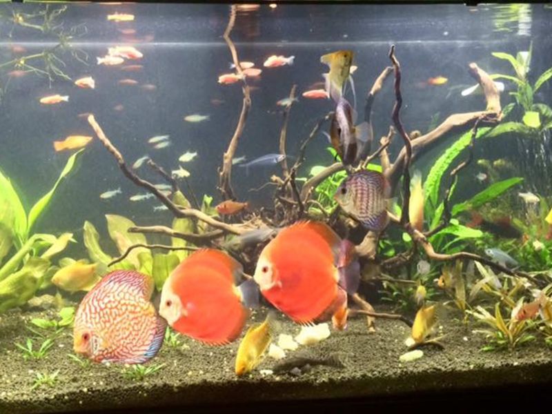 Moving Decorations Around Constantly