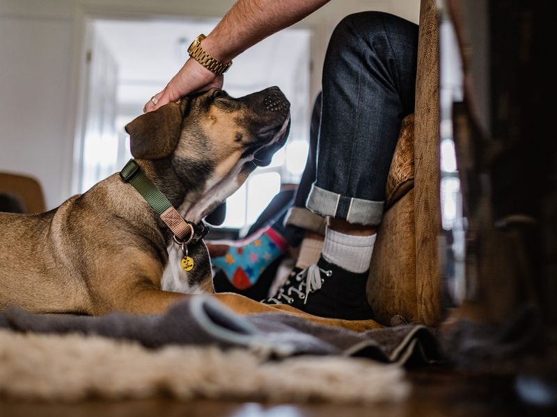 Finding a Suitable New Home