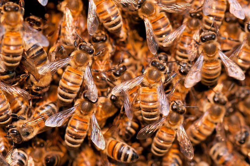 Disruption of Ecosystem Services
