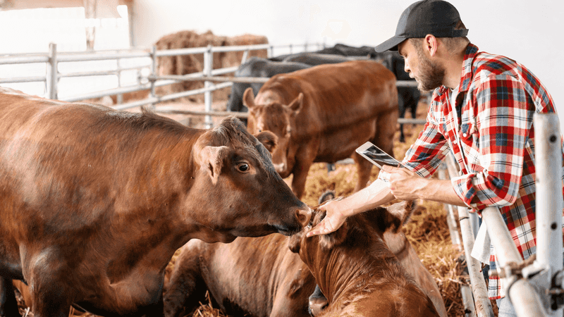 Overlooking Animal Behavior