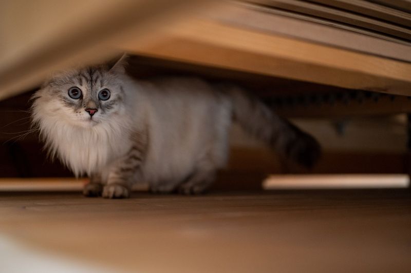 Bright Lights and Lack of Hiding Spots