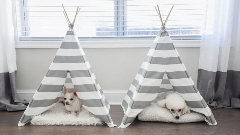 Create a Cozy Spot