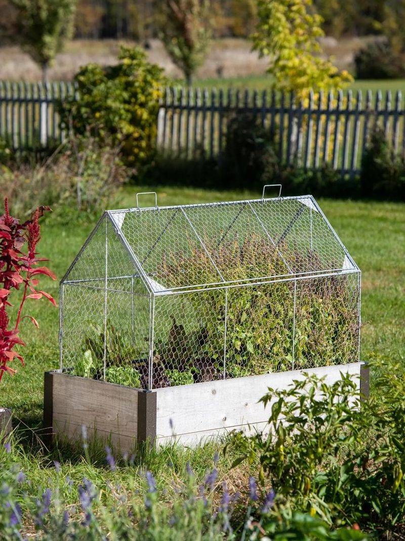 Use Chicken Wire