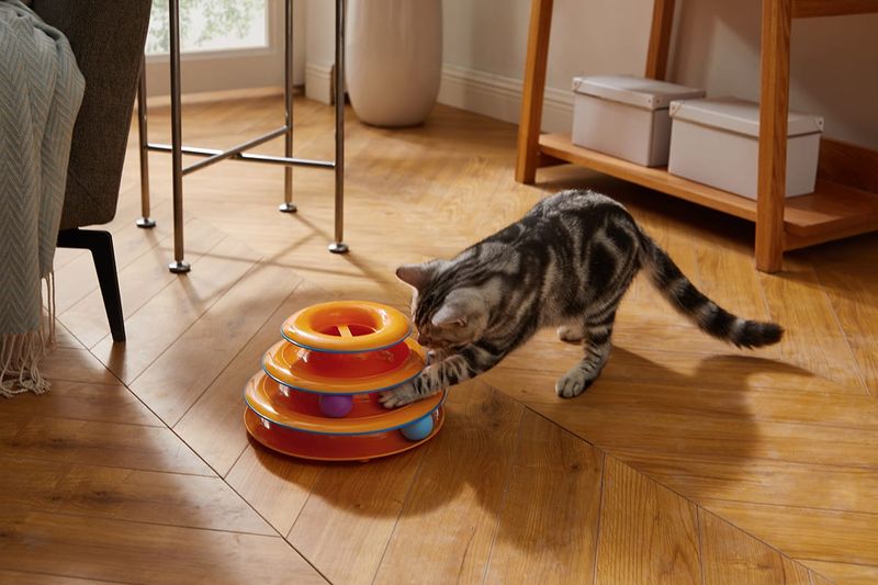Ball Track Toy