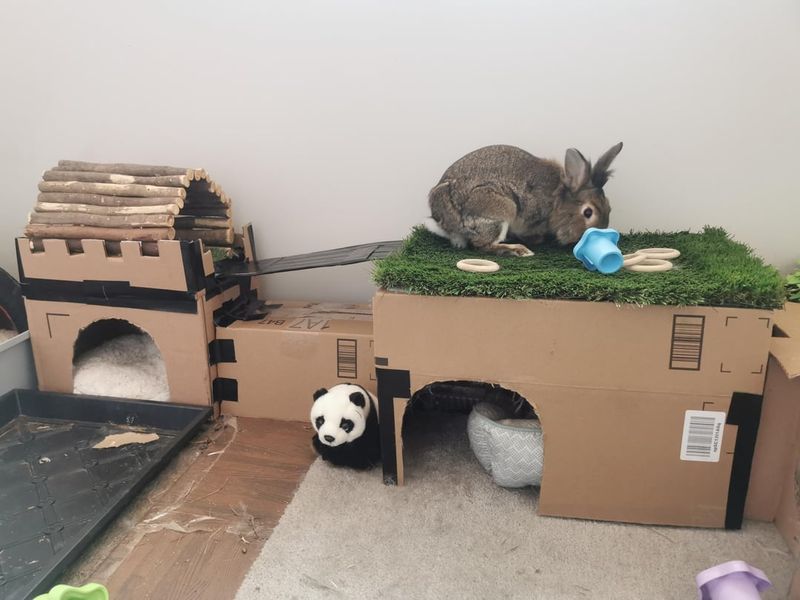 Cardboard Castle