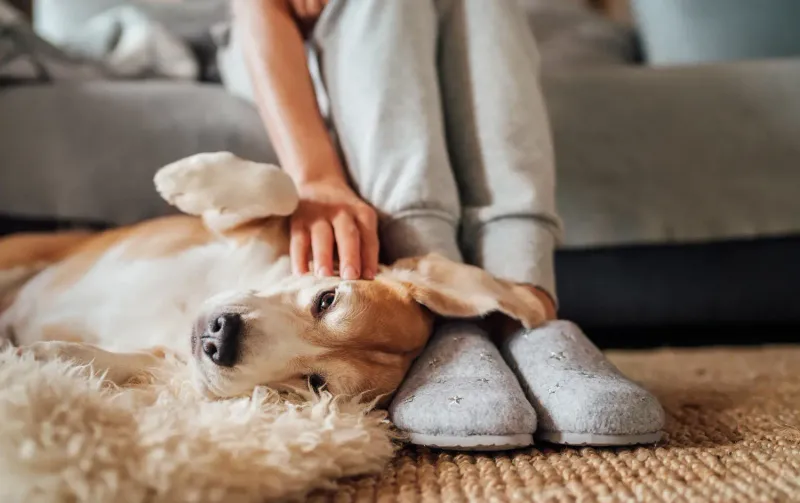 Resting on Feet